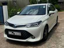 Toyota Axio WXB 2017 Car