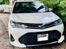 Toyota Axio WXB Safety 2018 Car
