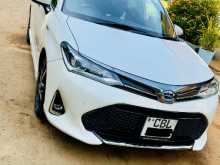Toyota Axio 2019 Car