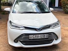 Toyota Axio G Grade 2017 2017 Car