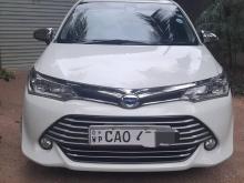 Toyota Axio G Grade 2016 Car