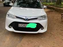 Toyota Axio 2017 Car