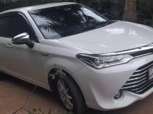 Toyota Axio G Grade 2016 Car