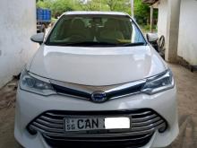 Toyota Axio G 2015 Car