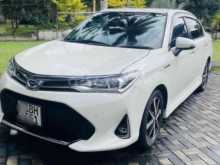 Toyota Toyota Axio Wxb 2018 Car