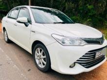 Toyota Axio G Grade 2016 Car