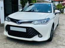 Toyota Axio 2017 Car