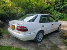 https://riyasewana.com/uploads/toyota-toyota-corolla-10232539732.jpg