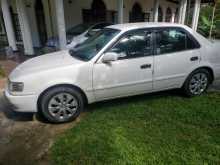 https://riyasewana.com/uploads/toyota-toyota-corolla-10232539833.jpg