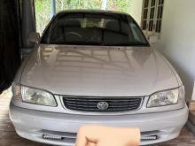 Toyota Corolla 1998 Car