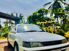 Toyota Corolla CE100 1991 Car