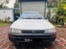 Toyota COROLLA ELEPHANT BACK 1996 Car