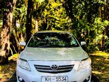 Toyota Corolla 141 2008 Car