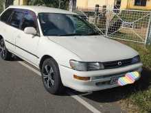 Toyota Corolla EE103 Elephant Back 1996 Car
