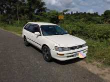 Toyota Toyota EE 103 Elephant Back 1996 Car