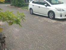 https://riyasewana.com/uploads/toyota-toyota-pirus-71716456265.jpg