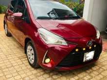 Toyota Vitz 2019 Car