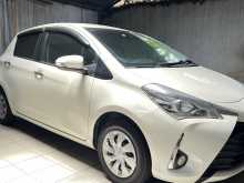 Toyota Vitz Safety Edition 03 2019 Car