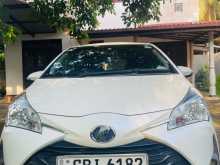 Toyota Vitz 2019 Car