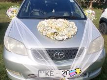 Toyota Vios 2003 Car