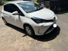 Toyota Vitz 2015 Car