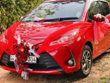 Toyota Vitz 2019 Car