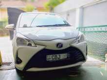 Toyota Vitz 2017 Car