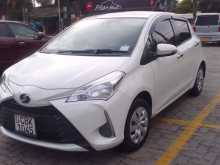 Toyota Vitz 2019 Car