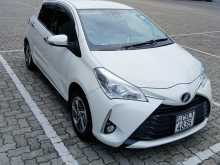 Toyota Vitz 2019 Car
