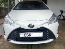 Toyota Vitz 2019 Car