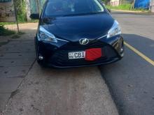 Toyota Vitz 2019 Car