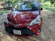 Toyota Vitz 2019 Car