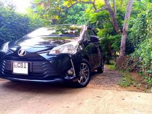 Toyota Vitz 2017 Car