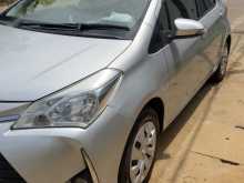 Toyota Vitz 2017 Car