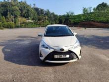Toyota Vitz 2019 Car