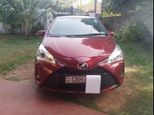 Toyota Vitz 2019 Car