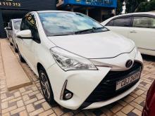 Toyota Vitz 2019 Car