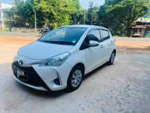 Toyota Vitz 2019 Car