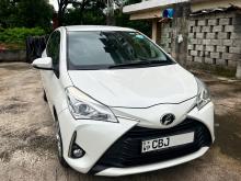 Toyota Vitz 2019 Car