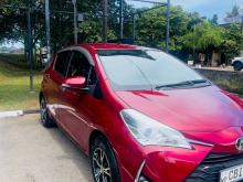 Toyota Vitz 2019 Car