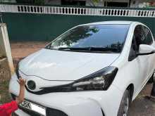 Toyota Vitz 2016 Car