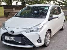 Toyota Vitz 2019 Car