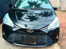 Toyota Vitz 2019 Car