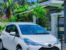 Toyota Vitz 2020 Car