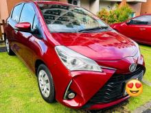 Toyota Vitz 2019 Car