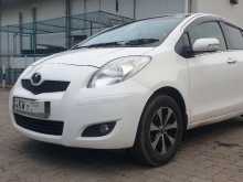 Toyota Vitz 2010 Car