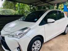 Toyota Vitz 2017 Car