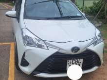 Toyota Vitz 2017 Car