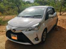 Toyota Vitz 2017 Car