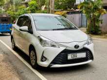 Toyota Vitz 2017 Car